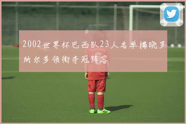 2002世界杯巴西队23人名单揭晓罗纳尔多领衔夺冠阵容