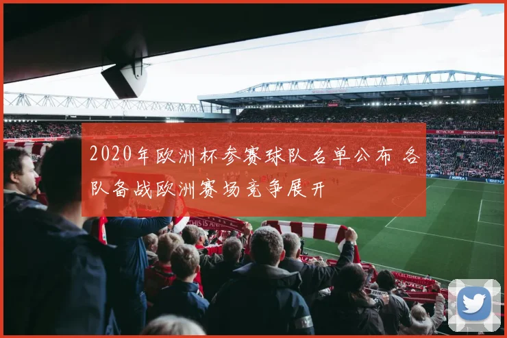 2020年欧洲杯参赛球队名单公布 各队备战欧洲赛场竞争展开