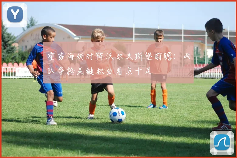霍芬海姆对阵沃尔夫斯堡前瞻:两队争抢关键积分看点十足