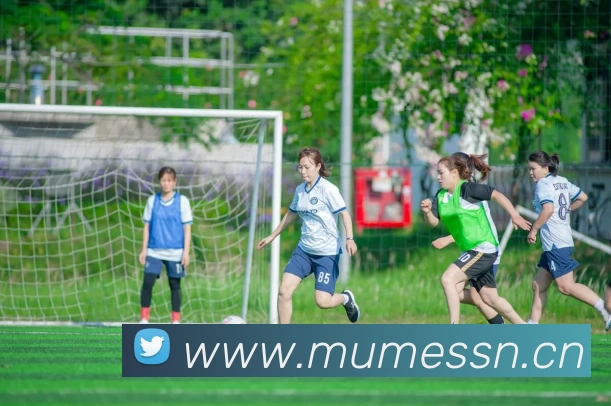 九游官网在线服务体系